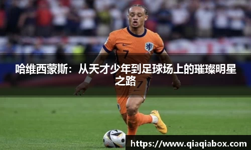 爱游戏ayx官方网站