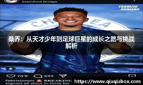 爱游戏ayx