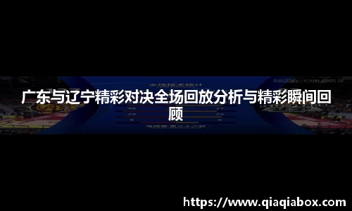 广东与辽宁精彩对决全场回放分析与精彩瞬间回顾